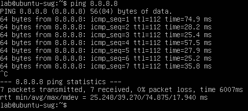 Ubuntu server is able to ping the internet.